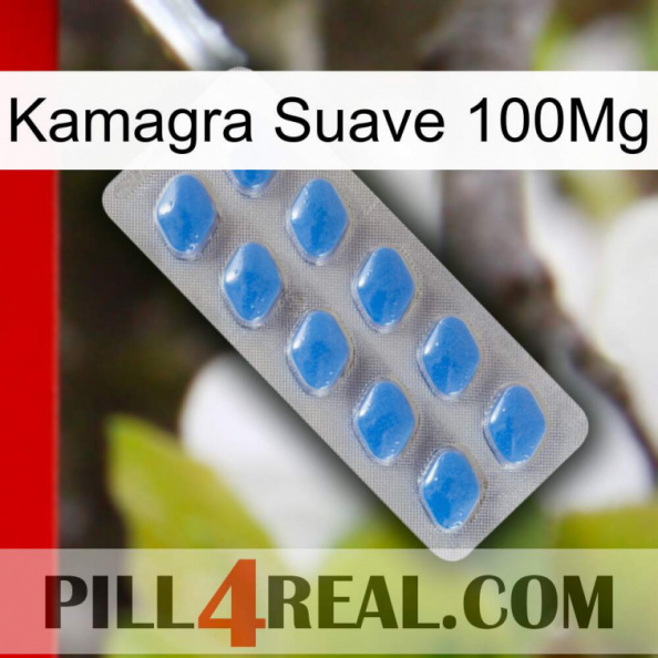 Kamagra Soft 100Mg 22.jpg